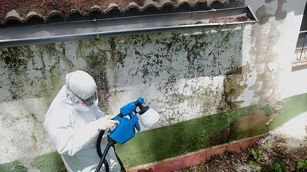 Top rated local Mold Remediation specialists in Richmond, KY
